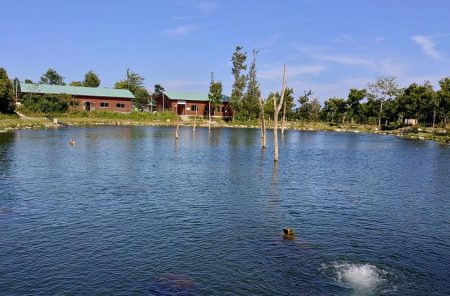 ミノーイングが楽しいフィッシングパーク高島の泉
